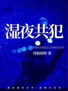 湿夜共犯